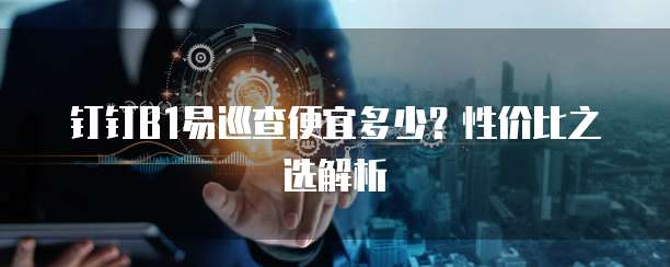 钉钉B1易巡查便宜多少?性价比之选解析