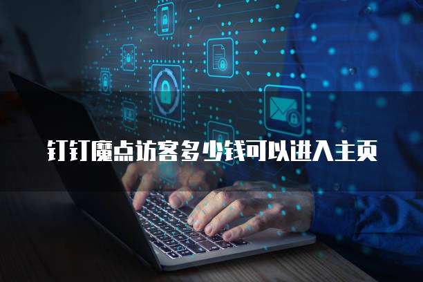 钉钉魔点访客多少钱可以进入主页