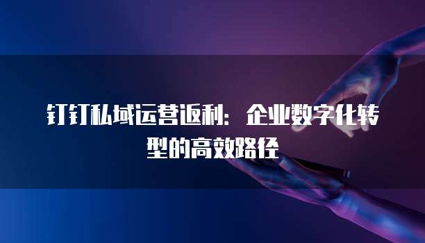钉钉私域运营返利：企业数字化转型的高效路径