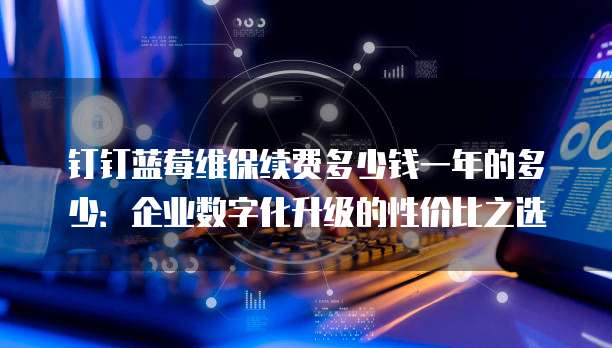 钉钉蓝莓维保续费多少钱一年的多少：企业数字化升级的性价比之选