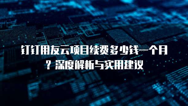 钉钉用友云项目续费多少钱一个月?深度解析与实用建议