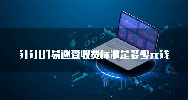 钉钉B1易巡查收费标准是多少元钱