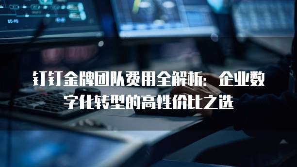 钉钉金牌团队费用全解析：企业数字化转型的高性价比之选
