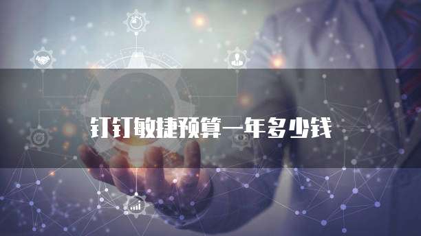 钉钉敏捷预算一年多少钱