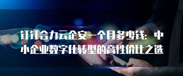 钉钉合力云企安一个月多少钱:中小企业数字化转型的高性价比之选