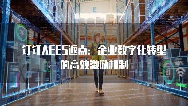 钉钉AEES返点:企业数字化转型的高效激励机制