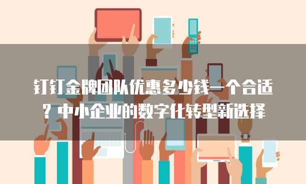 钉钉金牌团队优惠多少钱一个合适?中小企业的数字化转型新选择