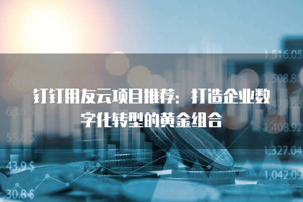 钉钉用友云项目推荐:打造企业数字化转型的黄金组合