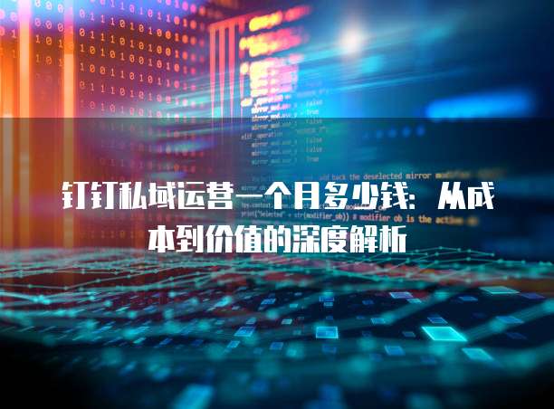 钉钉私域运营一个月多少钱:从成本到价值的深度解析