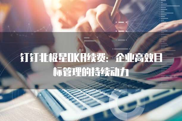 钉钉北极星OKR续费:企业高效目标管理的持续动力