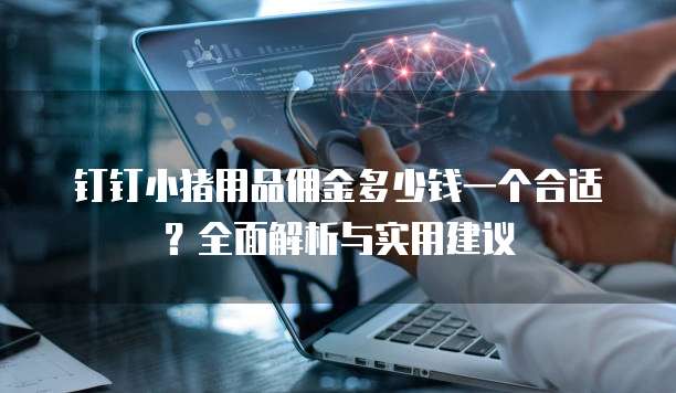 钉钉小猪用品佣金多少钱一个合适？全面解析与实用建议