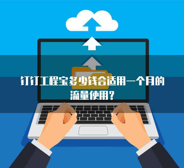钉钉工程宝多少钱合适用一个月的流量使用?