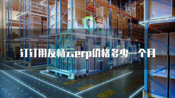钉钉用友畅云erp价格多少一个月