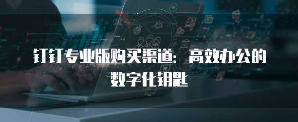 钉钉专业版购买渠道：高效办公的数字化钥匙