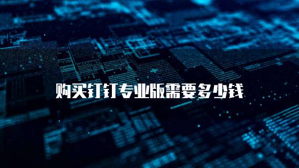 购买钉钉专业版需要多少钱