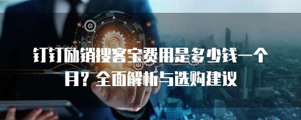 钉钉励销搜客宝费用是多少钱一个月?全面解析与选购建议