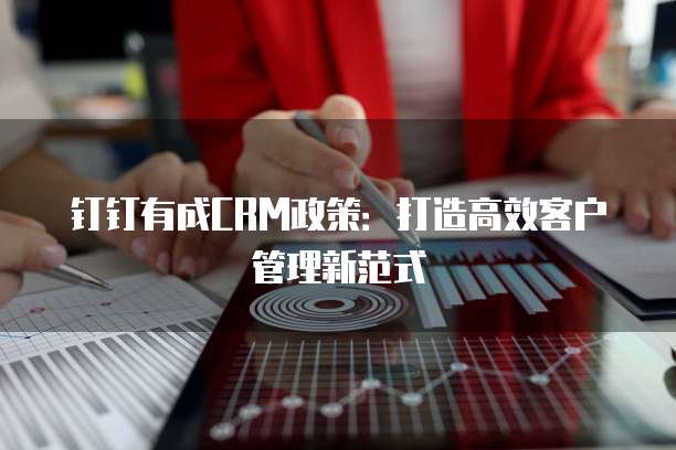 钉钉有成CRM政策:打造高效客户管理新范式