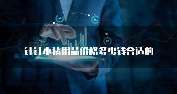 钉钉小猪用品价格多少钱合适的