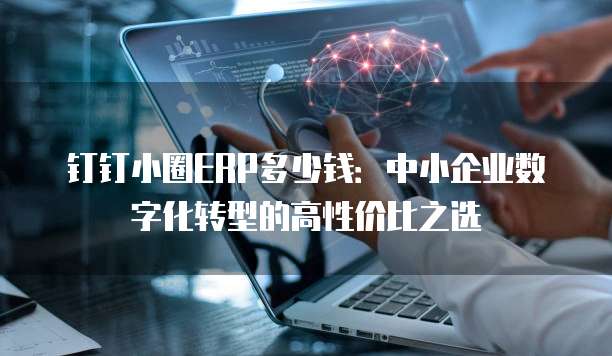 钉钉小圈ERP多少钱：中小企业数字化转型的高性价比之选