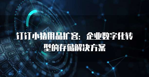 钉钉小猪用品扩容:企业数字化转型的存储解决方案
