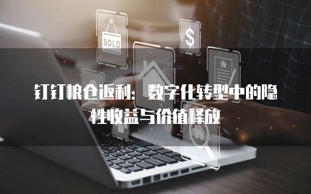 钉钉粮仓返利：数字化转型中的隐性收益与价值释放