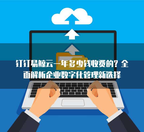 钉钉易鲸云一年多少钱收费的?全面解析企业数字化管理新选择
