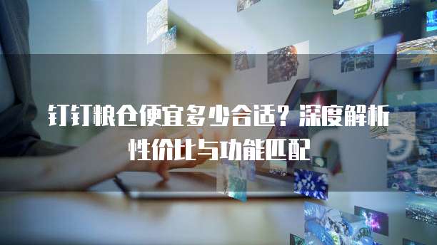 钉钉粮仓便宜多少合适？深度解析性价比与功能匹配