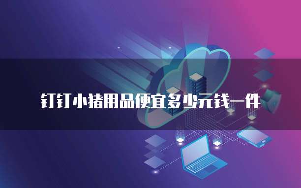 钉钉小猪用品便宜多少元钱一件