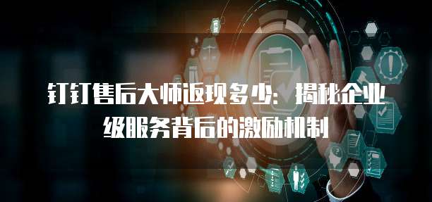 钉钉售后大师返现多少:揭秘企业级服务背后的激励机制