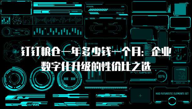 钉钉粮仓一年多少钱一个月:企业数字化升级的性价比之选