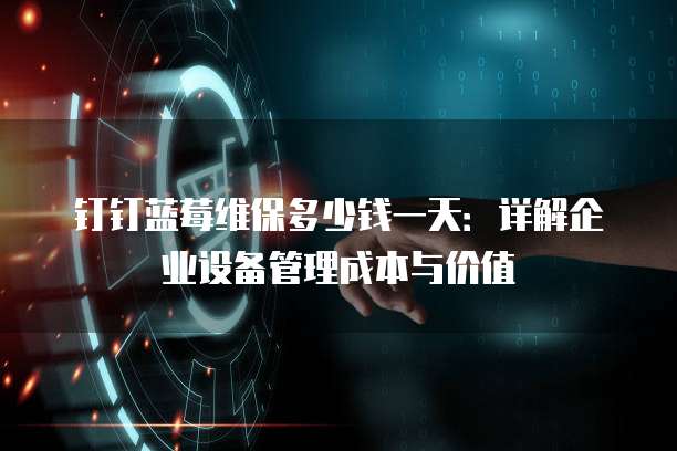 钉钉蓝莓维保多少钱一天:详解企业设备管理成本与价值