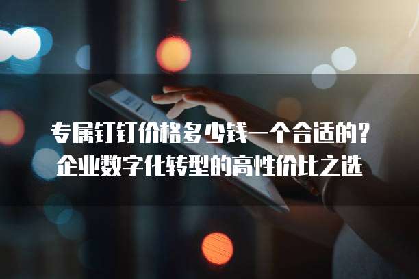 专属钉钉价格多少钱一个合适的?企业数字化转型的高性价比之选