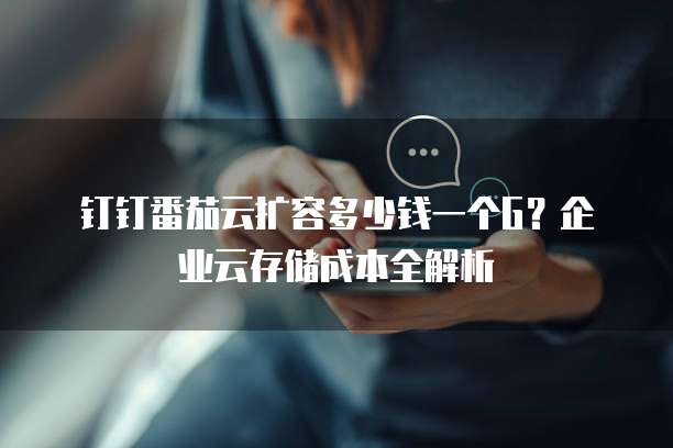钉钉番茄云扩容多少钱一个G?企业云存储成本全解析