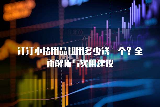 钉钉小猪用品租用多少钱一个?全面解析与实用建议