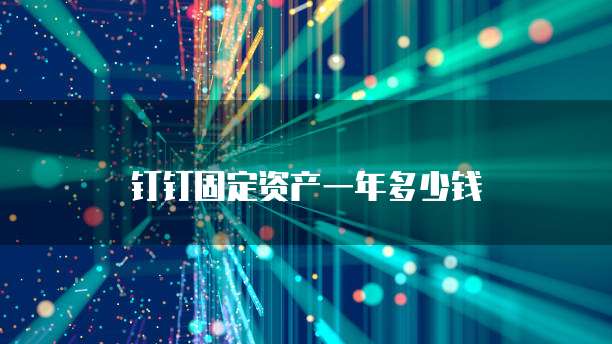 钉钉固定资产一年多少钱
