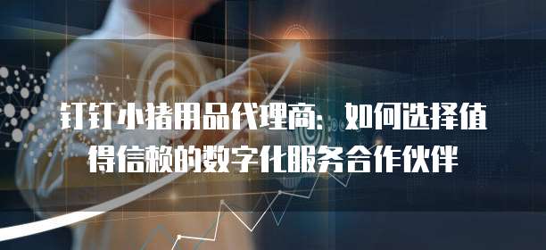 钉钉小猪用品代理商:如何选择值得信赖的数字化服务合作伙伴