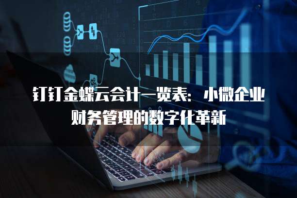 钉钉金蝶云会计一览表:小微企业财务管理的数字化革新
