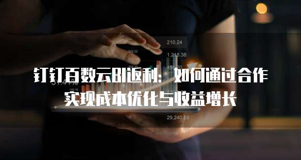 钉钉百数云BI返利:如何通过合作实现成本优化与收益增长