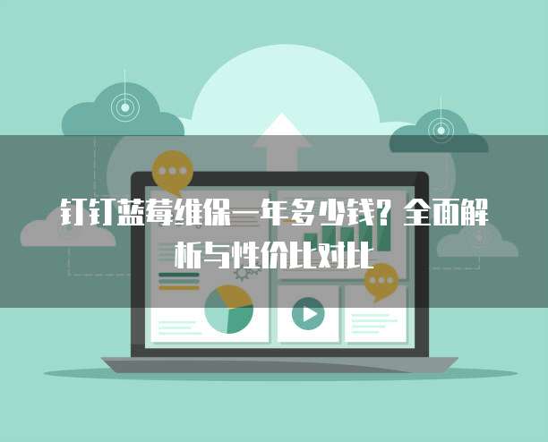 钉钉蓝莓维保一年多少钱?全面解析与性价比对比