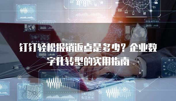钉钉轻松报销返点是多少?企业数字化转型的实用指南