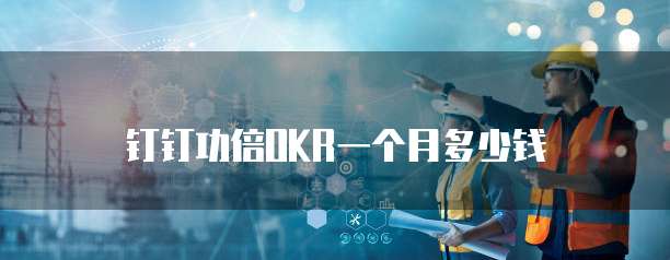 钉钉功倍OKR一个月多少钱