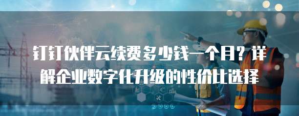 钉钉伙伴云续费多少钱一个月？详解企业数字化升级的性价比选择