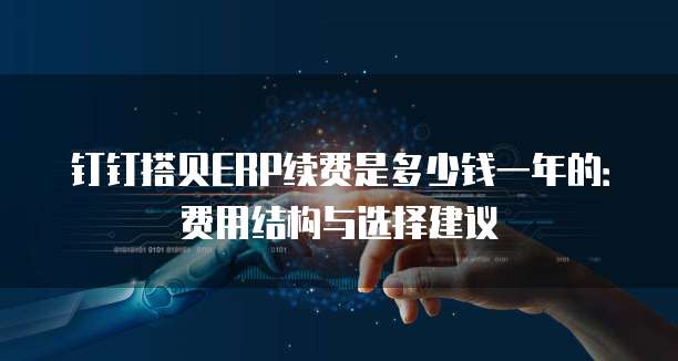 钉钉搭贝ERP续费是多少钱一年的：费用结构与选择建议