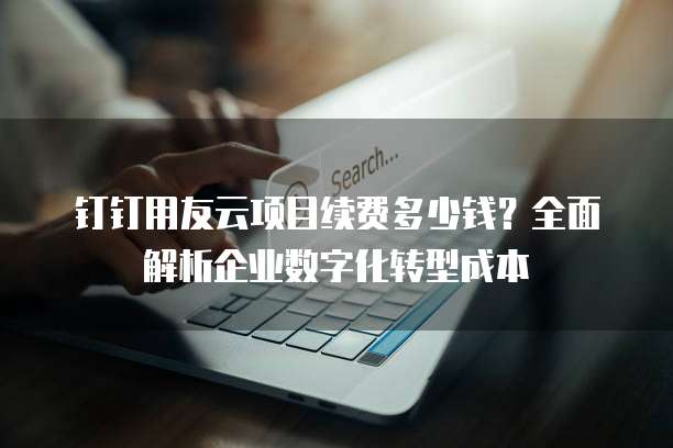 钉钉用友云项目续费多少钱？全面解析企业数字化转型成本