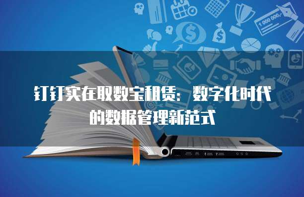 钉钉实在取数宝租赁：数字化时代的数据管理新范式