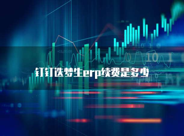 钉钉迭梦生erp续费是多少