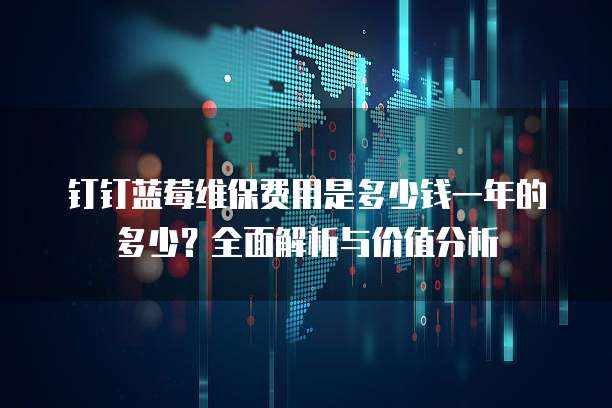 钉钉蓝莓维保费用是多少钱一年的多少?全面解析与价值分析