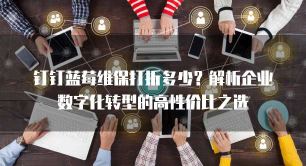 钉钉蓝莓维保打折多少？解析企业数字化转型的高性价比之选
