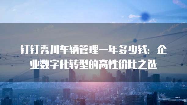 钉钉秀川车辆管理一年多少钱:企业数字化转型的高性价比之选