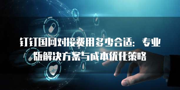 钉钉国网对接费用多少合适:专业版解决方案与成本优化策略